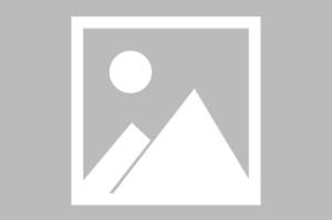 全面解析HTML，从基础到高级html